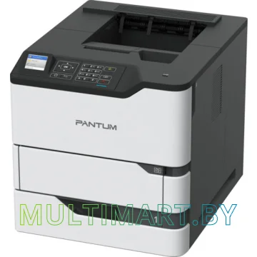 Принтер Pantum BP8000DN картинка 2